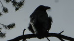 photo thumbnail #14