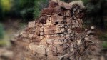 photo thumbnail #15