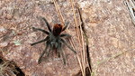 photo thumbnail #9