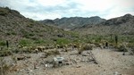 photo thumbnail #6