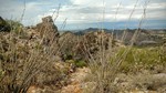 photo thumbnail #12