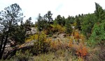 photo thumbnail #3