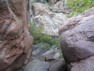 photo thumbnail #7