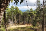 photo thumbnail #11
