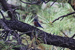 photo thumbnail #14