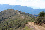 photo thumbnail #15