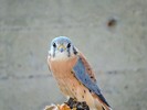 photo thumbnail #1