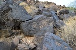 photo thumbnail #3