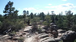 photo thumbnail #7