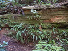 photo thumbnail #3