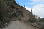 photo thumbnail #10