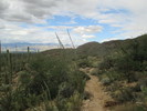 photo thumbnail #8