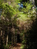 photo thumbnail #13