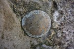 photo thumbnail #10