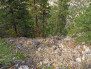 photo thumbnail #7