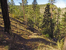 photo thumbnail #8