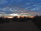photo thumbnail #11