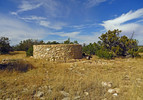 photo thumbnail #12