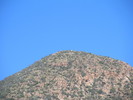 photo thumbnail #12