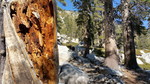 photo thumbnail #4