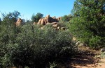 photo thumbnail #14