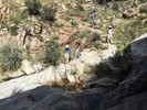photo thumbnail #2