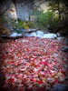 photo thumbnail #10