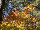 photo thumbnail #10