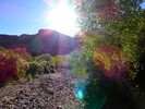 photo thumbnail #7