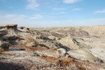 photo thumbnail #3