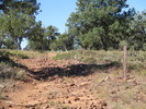 photo thumbnail #8