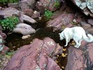 photo thumbnail #1