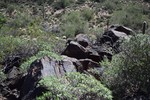 photo thumbnail #12