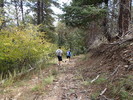 photo thumbnail #11