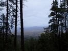 photo thumbnail #12