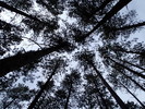 photo thumbnail #13