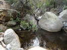 photo thumbnail #14