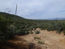 photo thumbnail #15