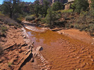 photo thumbnail #5