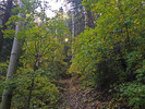 photo thumbnail #3