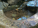 photo thumbnail #7