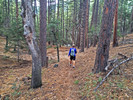 photo thumbnail #9