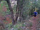 photo thumbnail #10