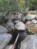 photo thumbnail #12