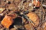 photo thumbnail #3