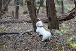 photo thumbnail #4