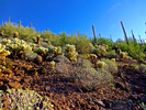 photo thumbnail #8