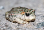 photo thumbnail #3