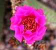 photo thumbnail #5