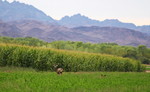 photo thumbnail #9